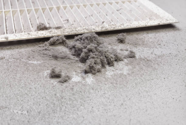 Best HVAC Duct Inspection Services  in Brodhead, WI